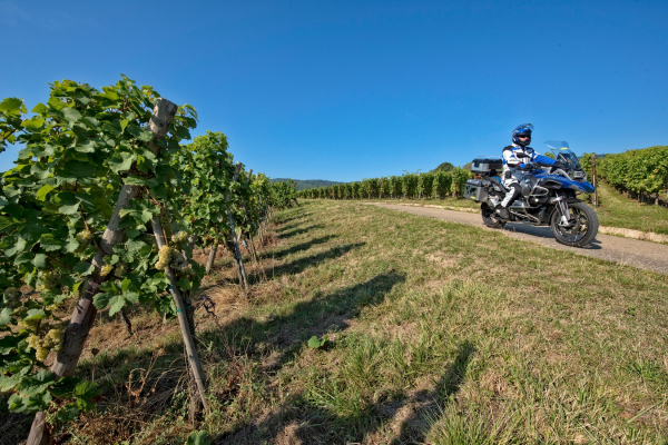 Motorradtour Schwarzwald-Elsass-Vogesen-Nix als Wein © Heinz E. Studt