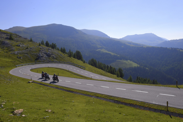 Grizzly-Tourengebiet © Grizzly Resort