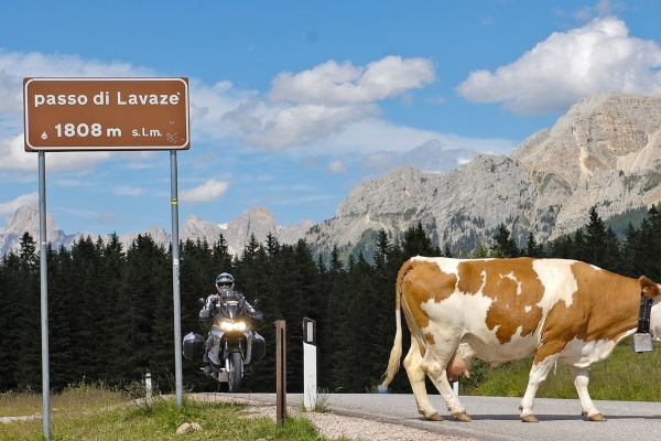 Motorradurlaub DOLOMITEN-TOUR 6 -Im Herzen der Dolomiten-Lavazèjoch © Heinz E. Studt